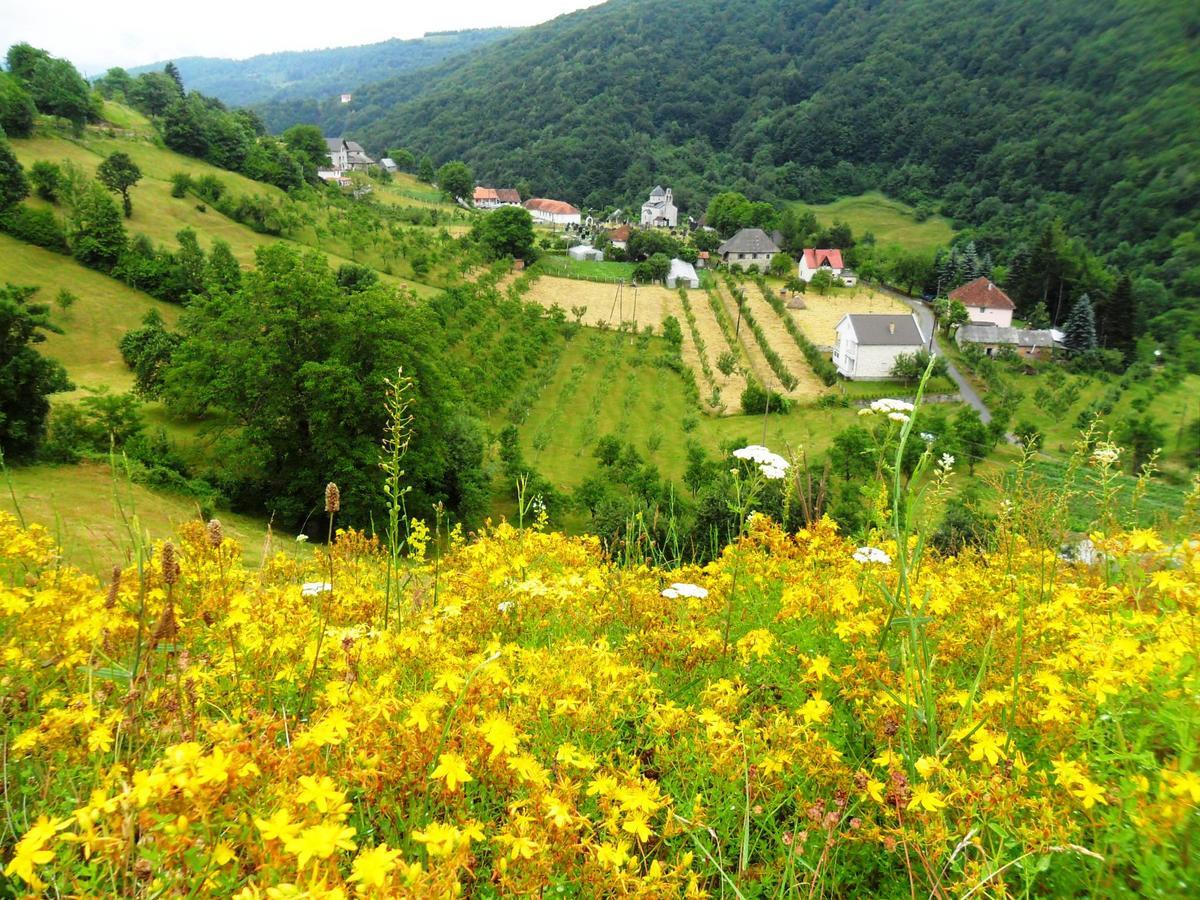 Kraljska Koliba - Kralje'S Cottage Andrijevica Kültér fotó