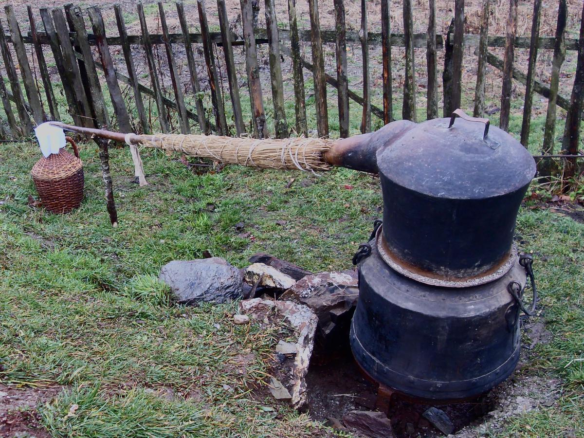 Kraljska Koliba - Kralje'S Cottage Andrijevica Kültér fotó