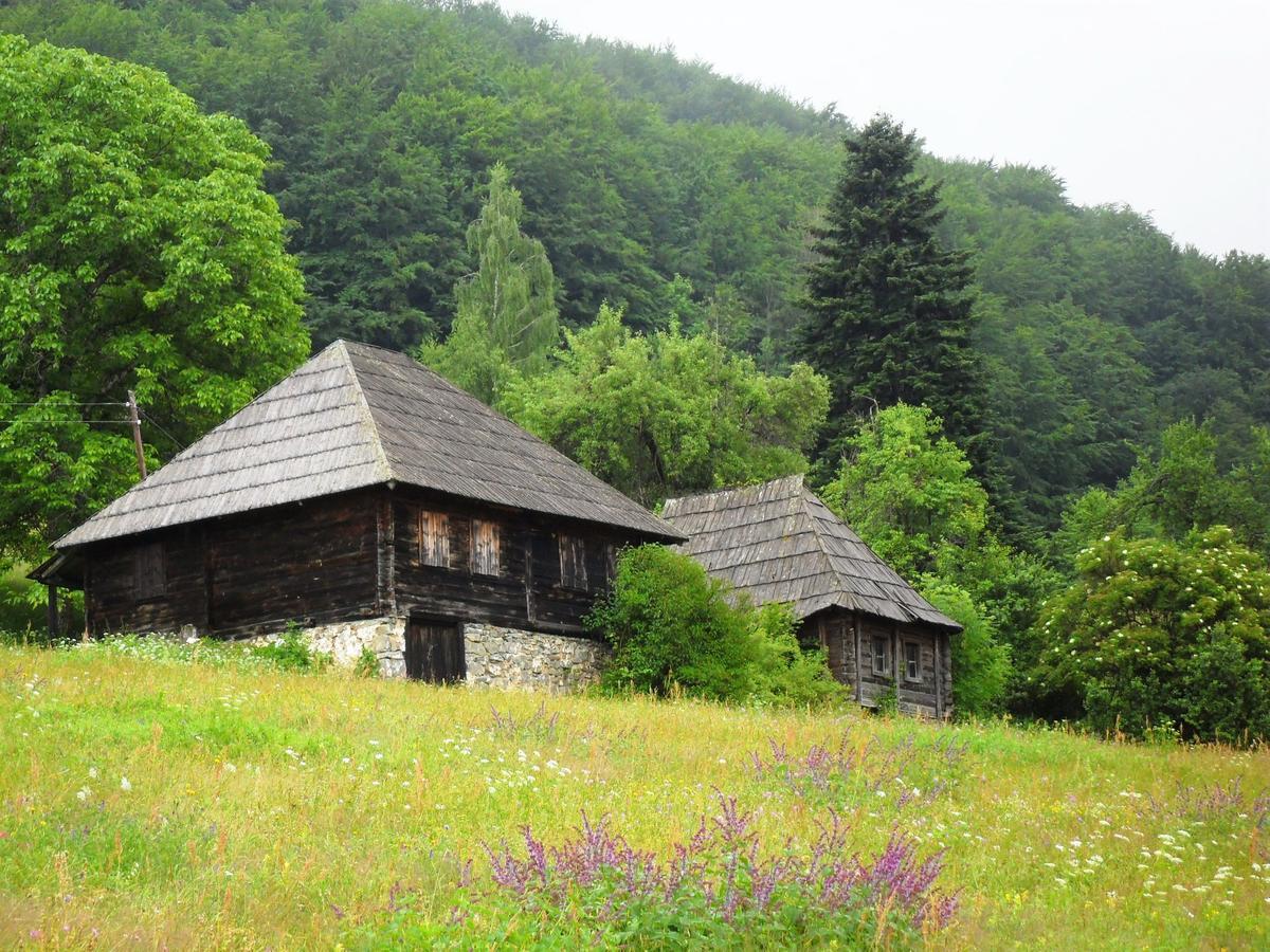 Kraljska Koliba - Kralje'S Cottage Andrijevica Kültér fotó