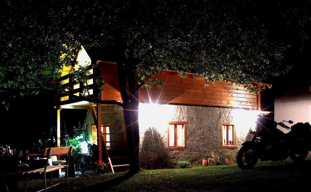 Kraljska Koliba - Kralje'S Cottage Andrijevica Kültér fotó