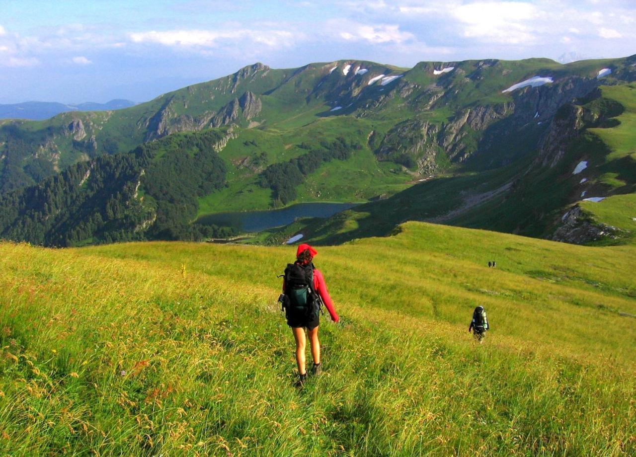 Kraljska Koliba - Kralje'S Cottage Andrijevica Kültér fotó