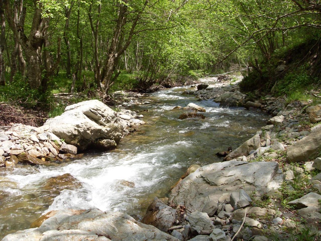 Kraljska Koliba - Kralje'S Cottage Andrijevica Kültér fotó